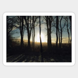 Rustic Winter Morning Sunrise Sticker